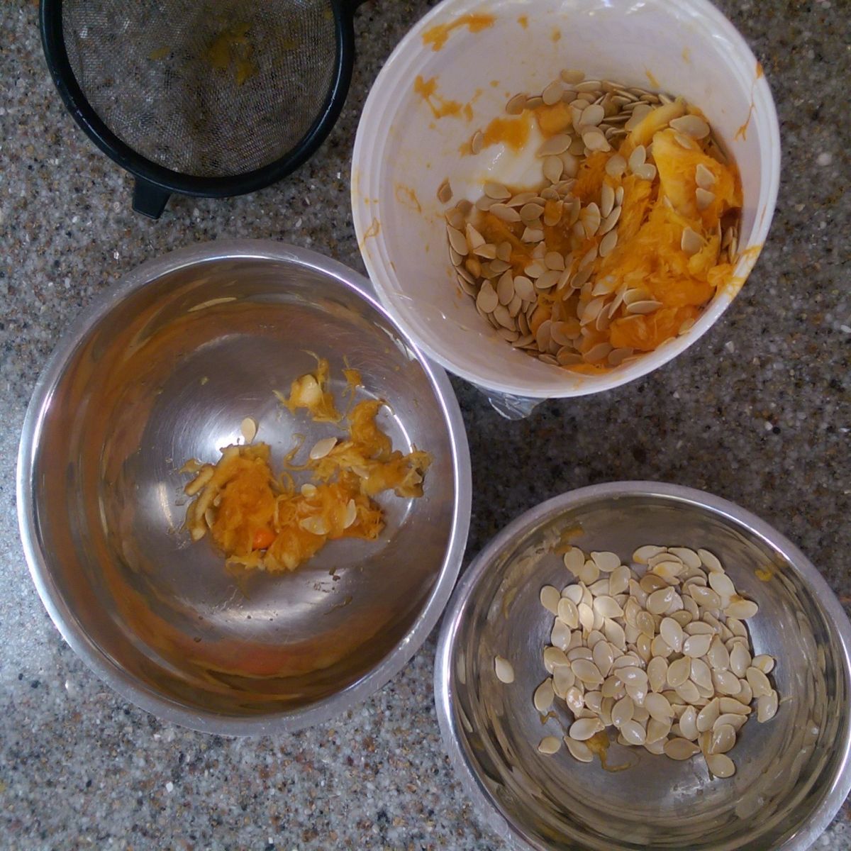 Seperate your bowls of pumpkin pith and seeds.